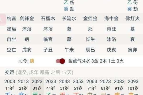 探秘癸酉、辛酉、己酉与丙子命理的奥秘