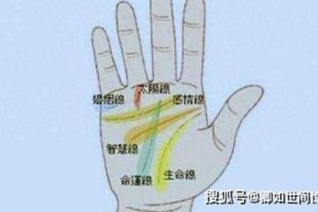 揭示手纹背后的秘密：如何通过手纹解读命运与性格
