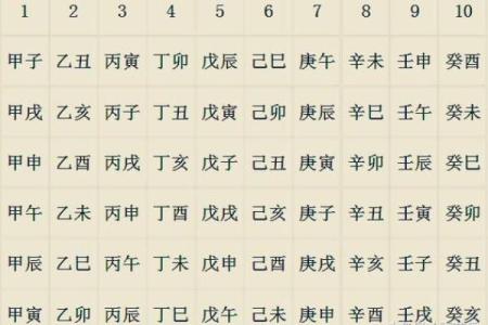 2004年出生的人命运如何：命理分析与成长启示