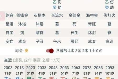 探秘癸酉、辛酉、己酉与丙子命理的奥秘