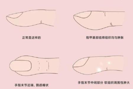 指甲形状揭示命运奥秘，探索你的指甲与性格命运的关系