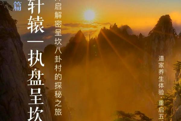 金命的人适合选择什么样的房子？探秘风水与居住环境的奥妙！