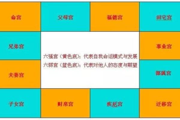 探索紫薇命格的奥秘:揭开命运之谜的星辰轨迹 探索紫薇命格的奥秘:揭开命运之谜的星辰轨迹