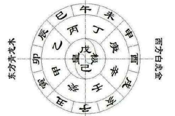 探秘命理：癸丑、甲寅与壬午的独特命格解析