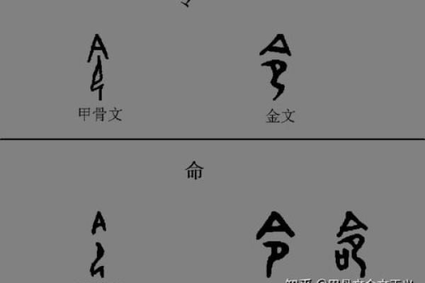 尖峰金命适合戴什么？揭示命理与饰品的奥秘！
