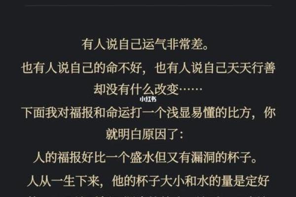 1999年属什么命解析：揭示命运背后的秘密与机会