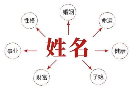 2002年出生的命运与五行缺少分析