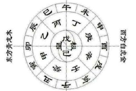 探秘命理：癸丑、甲寅与壬午的独特命格解析
