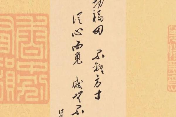 《崩命》：勇敢面对命运的挑战，让生活绽放光彩