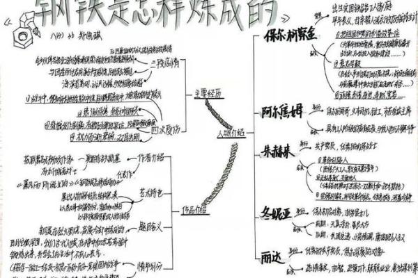 《崩命》：勇敢面对命运的挑战，让生活绽放光彩