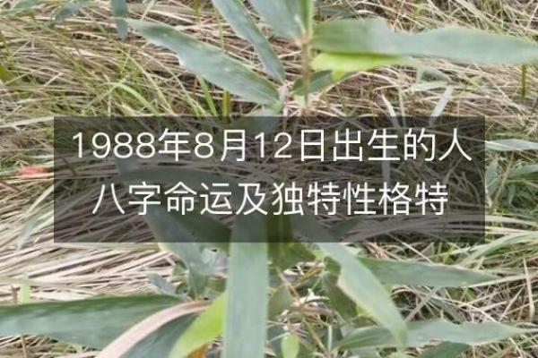 1988年8月出生的人：命运与性格解析