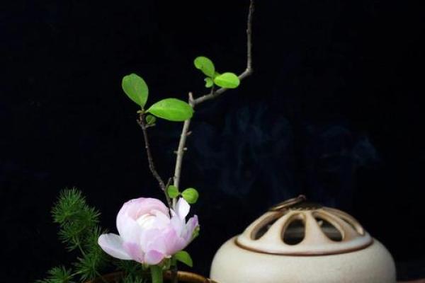 探讨浮萍命象:女性命运的多样性与启示 探讨浮萍命象:女性命运的多样性与启示