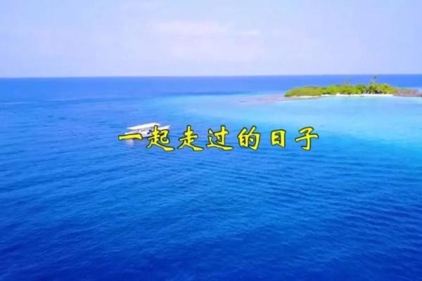 舒畅爱你如命：细数那些打动心弦的旋律与情感