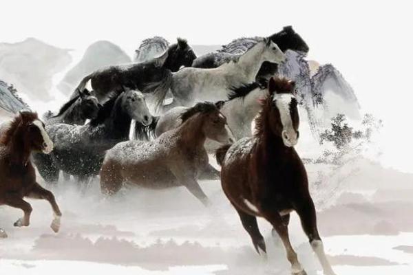 天上火马命的命运之谜：最怕的是什么？