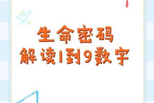 揭秘命理学中的数字：探寻生命之中的隐秘密码