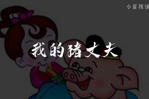 揭开猪老公的媳妇命运的神秘面纱：命理与爱情的交织