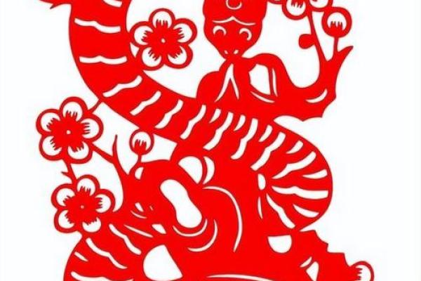 46岁属什么生肖，命运解析与生活启示