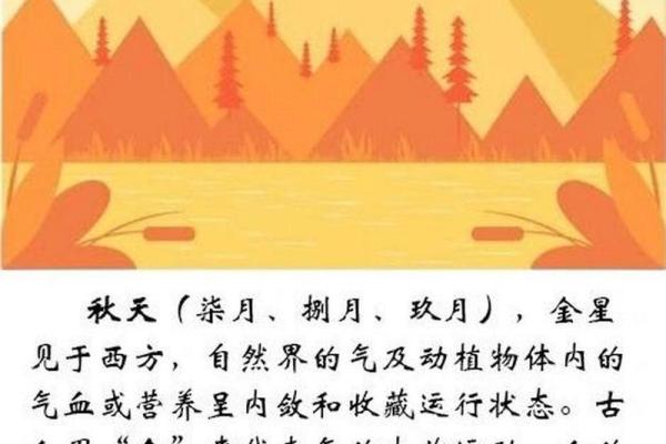 水土金水命解析：理解五行之中的水元素与命理的深意