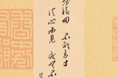 《崩命》：勇敢面对命运的挑战，让生活绽放光彩