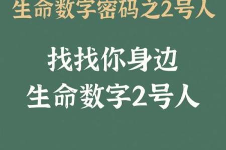 揭秘命理学中的数字：探寻生命之中的隐秘密码