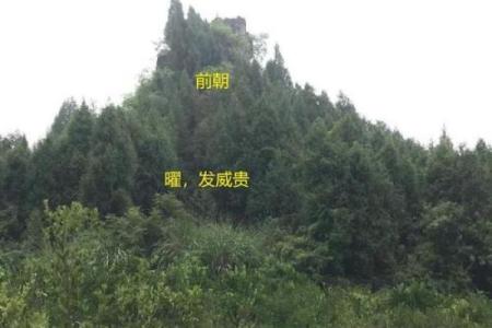 揭秘辛亥仙命：分金妙法与风水之道的深度结合