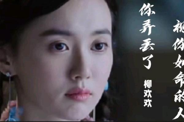 《赔了我的命》：那首触动心弦的歌带来的思考与启示