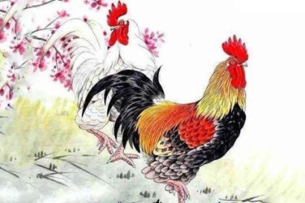 1993年属鸡的命运解析：命理与生活的奇妙交汇