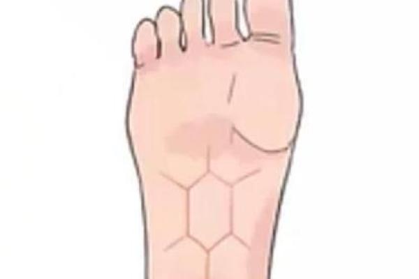 女人脖子有猴子纹的命运解读与生活启示 女人脖子有猴子纹的命运解读与生活启示