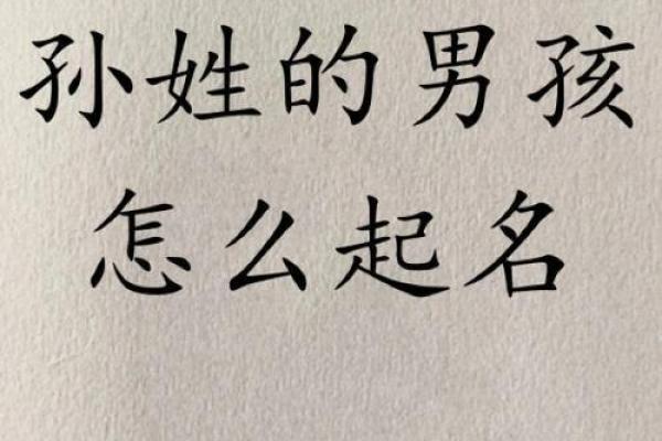 1902年属虎人的命运解析与生活智慧