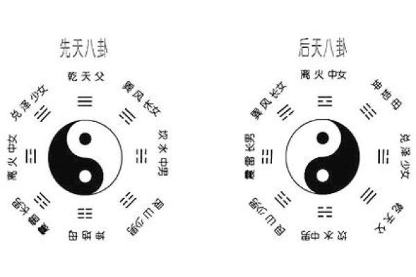 命理与骨骼健康:探秘生活中的骨骼状态与命理关系 命理与骨骼健康:探秘生活中的骨骼状态与命理关系