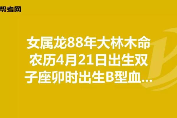 木命人适合销售的颜色与生意发展策略分析 木命人适合销售的颜色与生意发展策略分析