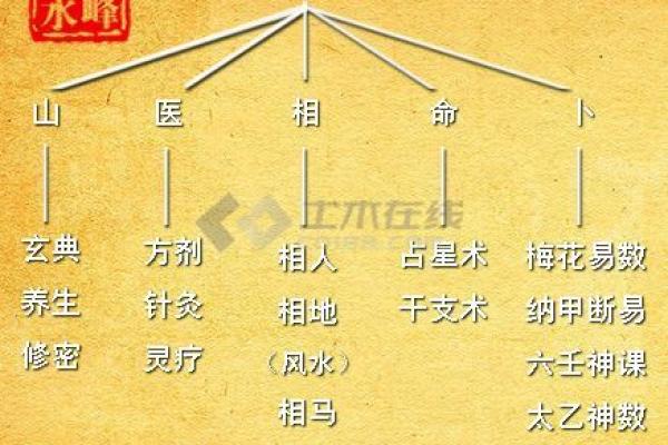 命运的阴影:解密大凶命女生的卦象密码与挑战 命运的阴影:解密大凶命女生的卦象密码与挑战