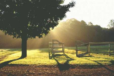 《赔了我的命》：那首触动心弦的歌带来的思考与启示