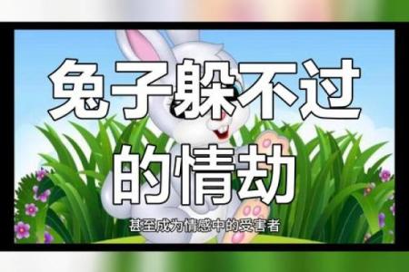 59岁生肖兔的命运与人生启示：如何充分利用自己的优势与挑战