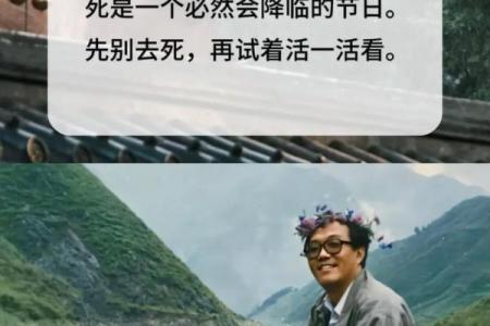 探秘命运与人生：解析“命惜”的深意与实践