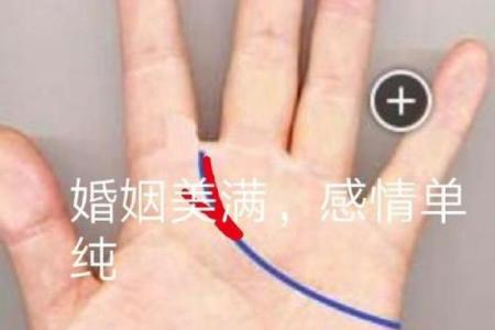 揭秘掌纹：这些特征的女性最具命运优势！