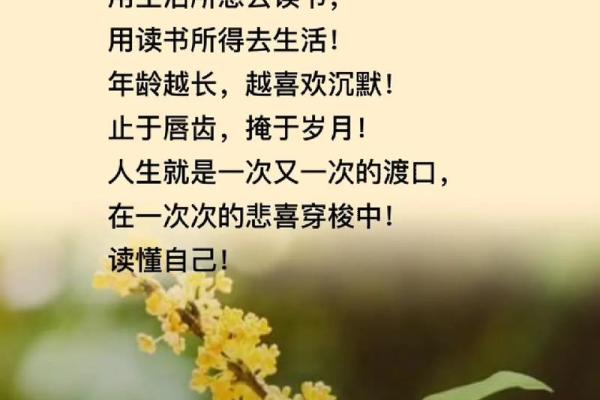 一九九七年三月出生的人命运解析：探索背后的秘密与人生智慧