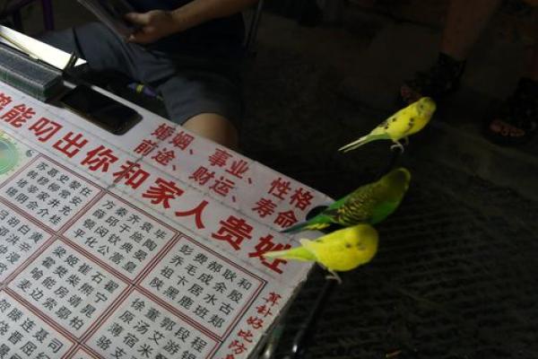 算命揭秘：不可告人的真相与内心的真实探寻