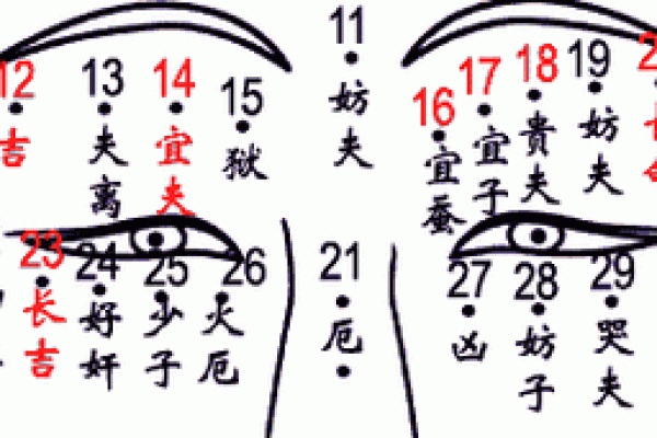探秘右眉高的女人命运：独特的性格与人生轨迹