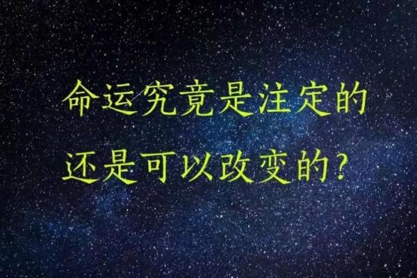 2014年出生孩子的命运解析：一生的幸运与挑战