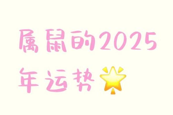 1984年鼠年命解析：探寻经典鼠年的性格与命运