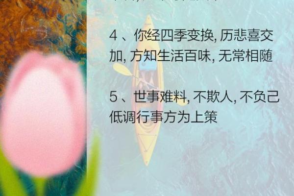 探寻命的古代意义：从命运到人生的哲学思考