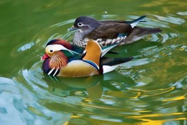 探讨命理与守空房的深密关系,揭示生活中的玄机与智慧 探讨命理与守空房的深密关系,揭示生活中的玄机与智慧