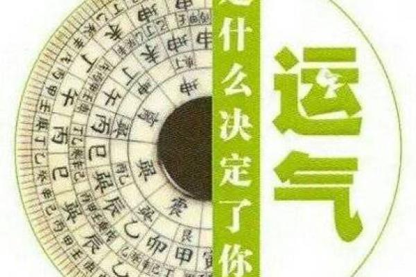 探秘癸酉日柱：优雅与智慧并存的命格之路