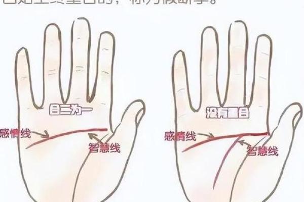 男人K字手纹的命运解析:你掌握了多少人生密码? 男人K字手纹的命运解析:你掌握了多少人生密码?