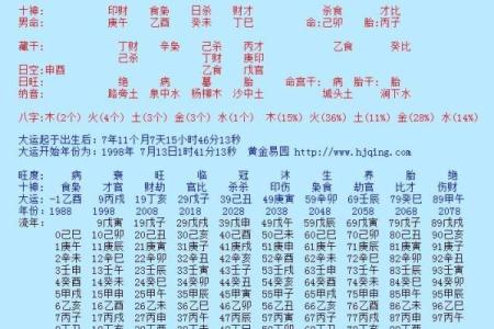 揭示1993年出生者的命理秘密：他们未来的机会与挑战！