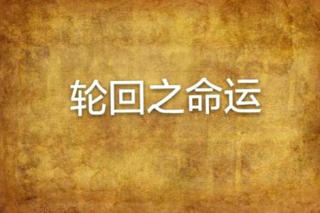 命运的轮回:为何我频频进医院看病的背后真相