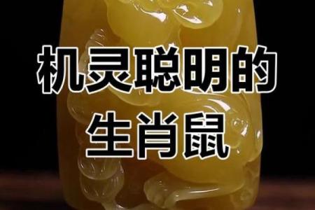 木命鼠适合佩戴哪些挂件?助你提升运势的秘密揭晓!