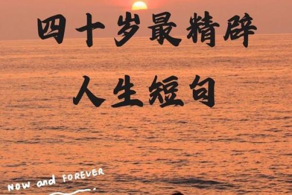 探秘华盖入命，解锁你人生的潜力与方向！