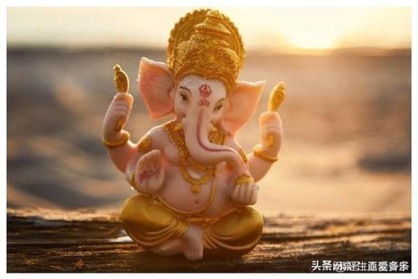 2023年属猪人命理解析:如何把握好运与运势提升的秘诀 2023年属猪人命理解析:如何把握好运与运势提升的秘诀